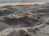17.-06.-2026229