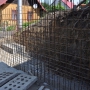 prace-przy-murze-i-nowych-schodach-od-ul-koc59bciuszki-65